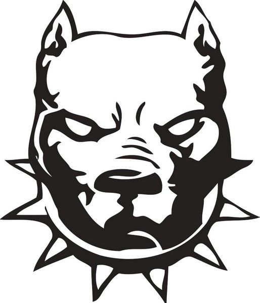 The Pittie Project